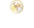 Patriot Gold Group