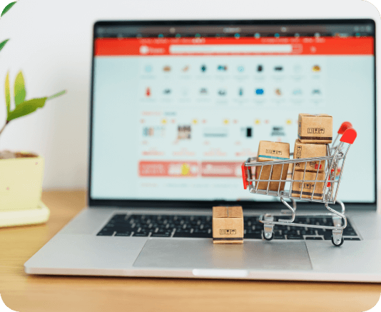 Ecommerce client
