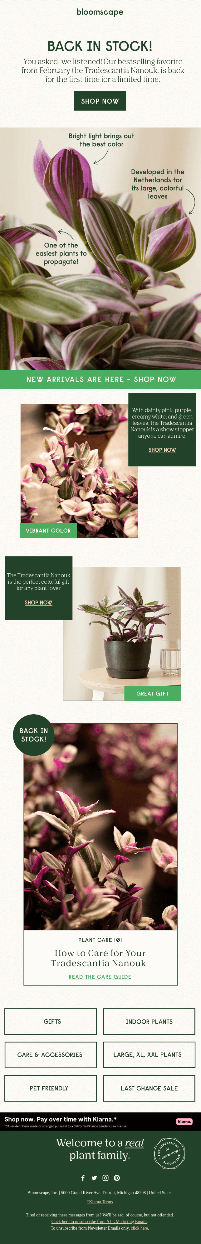 Bloomscape's bestselling Favorite' For A Limited Time. 
