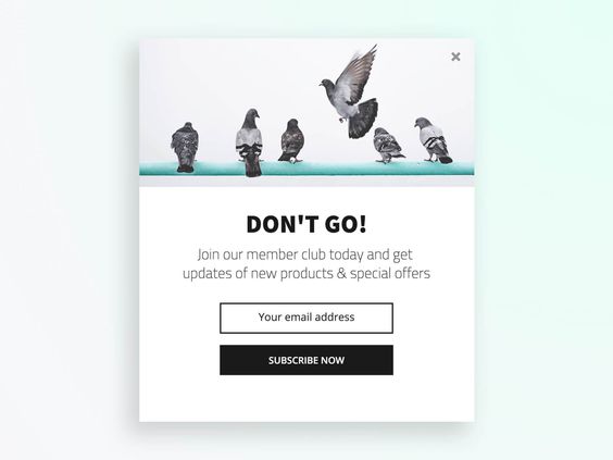 use of negatives in signup forms