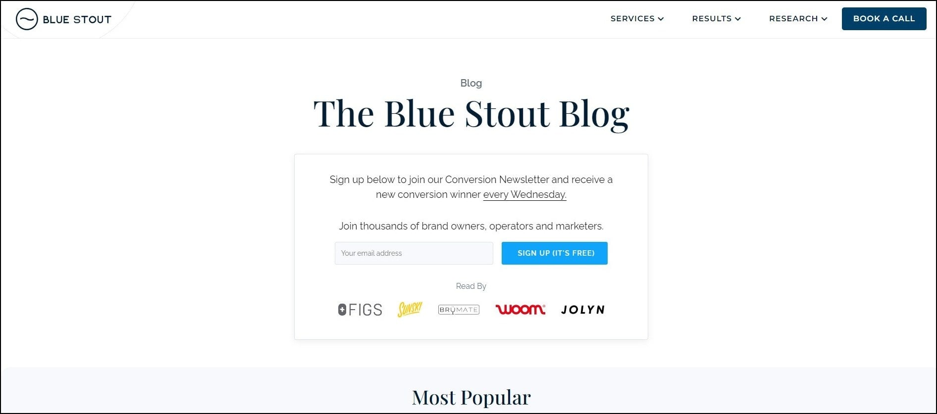 The Blue Stout - A Unique Approach ecommerce newsletter