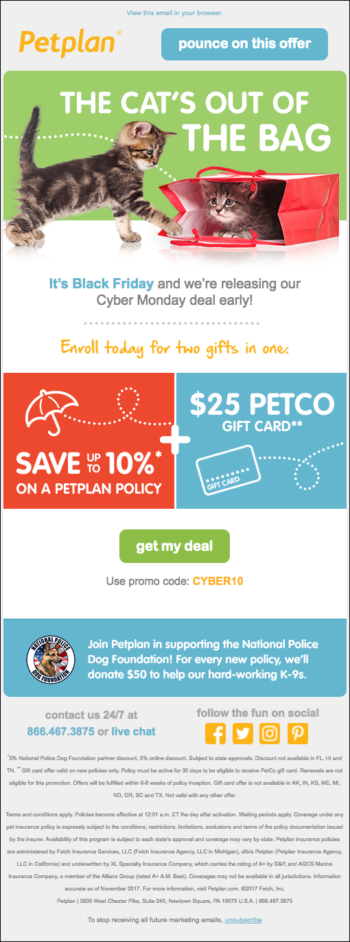 Petplan Policy Offer email