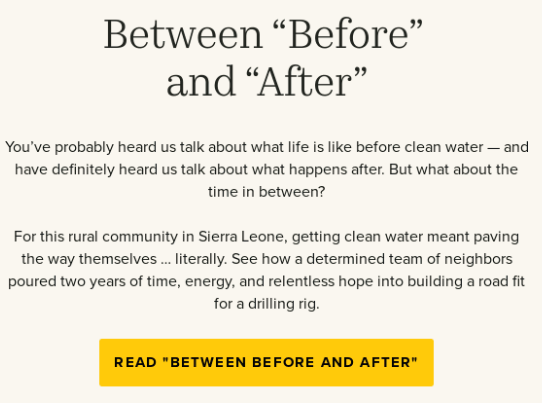 Charity Newsletter example