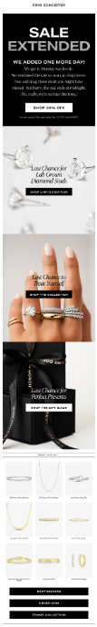 extended sale email
